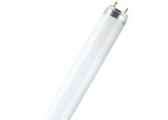 Лампа люминесцентная Т8 36Вт 6500К G13 765 OSRAM