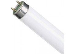 Лампа люминесцентная Т8 18Вт 6500К G13 PHILIPS