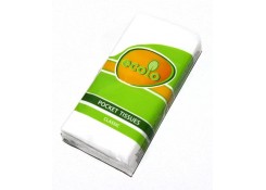 Платочки носовые бумажные ECOLO 10 штук