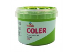 Концентрированная краска Coler №113 Фисташковый 100мл